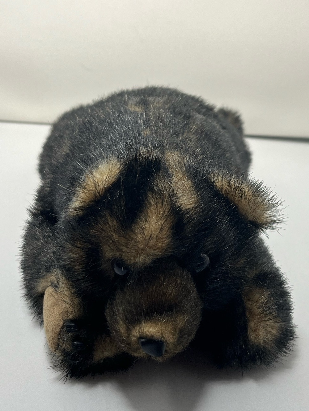 Ditz Designs Realistic Black Bear Plush 14” Hen House Vintage Stuffed Animal - Picture 3 of 10